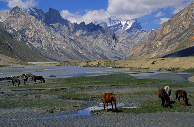无人,横图,室外,河流,山,山脉,雪,马,野生动物,印度,亚洲,山顶,云,山谷,河床,动物,运输,摄影,牲畜,南亚,喜马拉雅山脉,印度共和国,喂养,克什米尔,查谟.克什米尔,查谟.克什米尔邦,彩图,喀什米尔,克什米尔地区