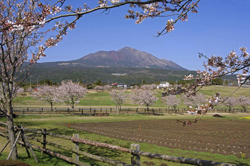 东方人,无人,农场,横图,室外,农业,山,山脉,樱花,日本,亚洲,日本文化,地形,篱笆,田地,樱桃树,花朵,树,粉色,摄影,国家公园,东亚,九州,鹿儿岛县,彩图