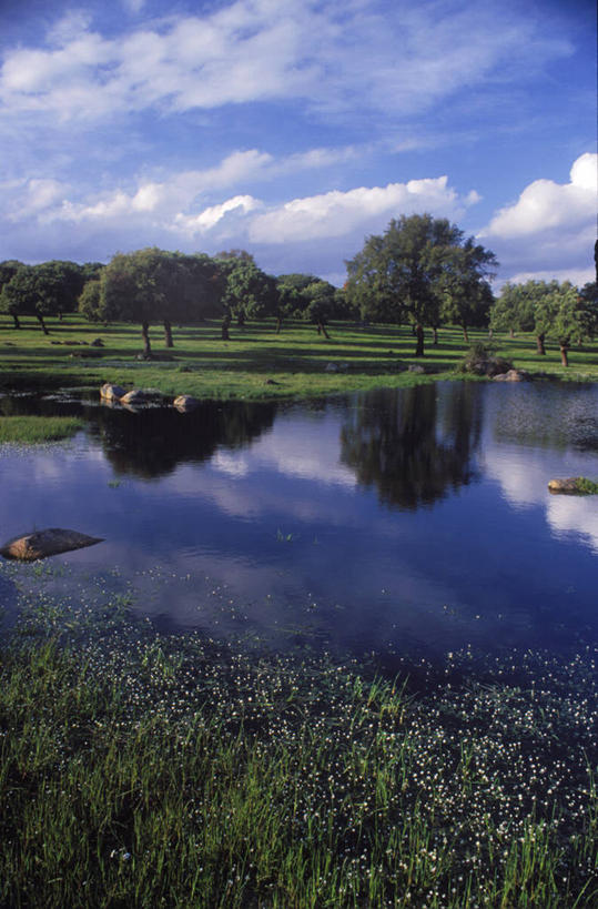 无人,竖图,室外,湖,西班牙,欧洲,反射,地形,云,树,摄影,宁静,考古学,彩图