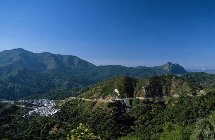 无人,横图,室外,山,山脉,路,西班牙,地形,山谷,摄影,山脊,安达路西亚,彩图