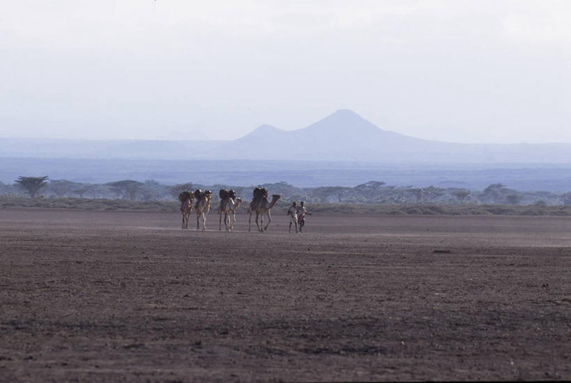 横图,室外,留白,沙漠,非洲,肯尼亚,地平线,辽阔,地面,热,骆驼,蓝色,天空,广阔,家畜,运输,摄影,一望无际,延伸,干的,牧人,万里无云,天地相交,无边无际,一马平川,彩图,游牧民族