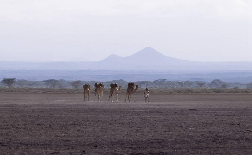 横图,室外,留白,沙漠,非洲,肯尼亚,地平线,辽阔,地面,热,骆驼,蓝色,天空,广阔,家畜,运输,摄影,一望无际,延伸,干的,牧人,万里无云,天地相交,无边无际,一马平川,彩图,游牧民族