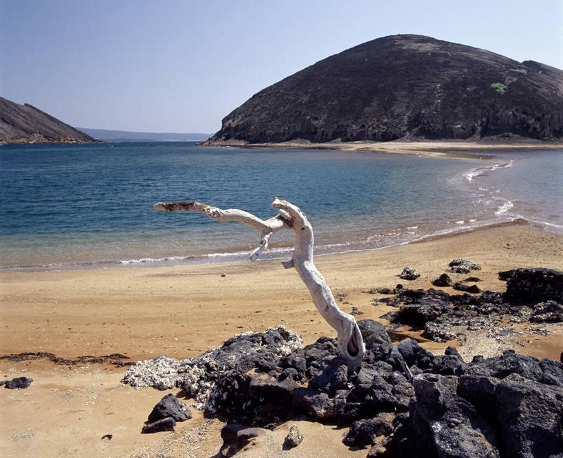 无人,横图,室外,海洋,火山,非洲,吉布提,浮木,沙子,岛,海岸线,海湾,熔岩,南美,摄影,地质学,海滩,岩石,彩图