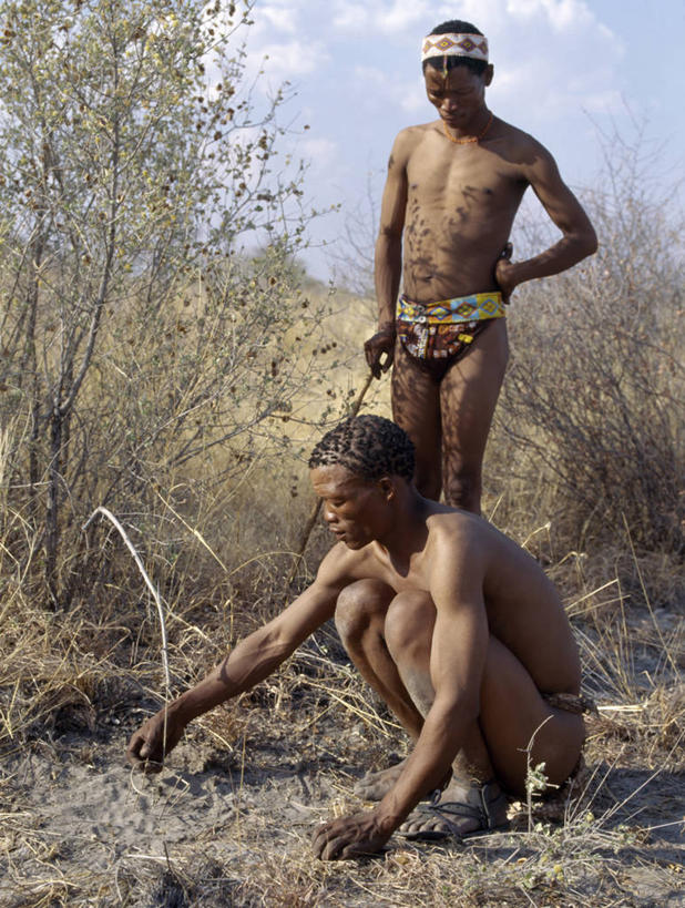 成年人,两个人,竖图,室外,非洲,纳米比亚,工作,摄影,灌木,创造力,手艺,陷阱,非洲文化,技能,男人,非洲人,彩图,传统服装,布须曼人,萨尔瓦人,桑人,传统文化,布什曼族,游牧民族