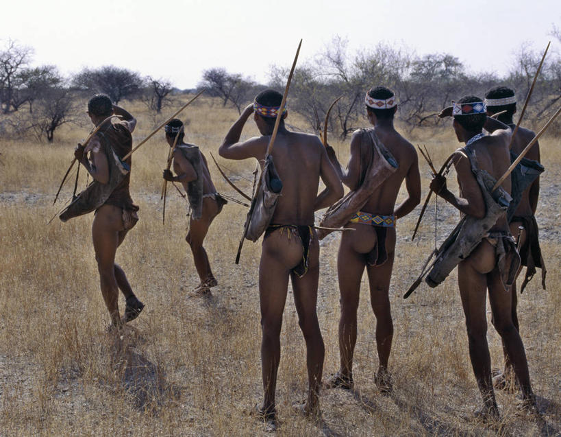成年人,人群,横图,白天,非洲,纳米比亚,弓,弓箭,箭,武器,摄影,灌木,非洲文化,猎人,男人,彩图,传统服装,布须曼人,萨尔瓦人,桑人,传统文化,布什曼族,游牧民族