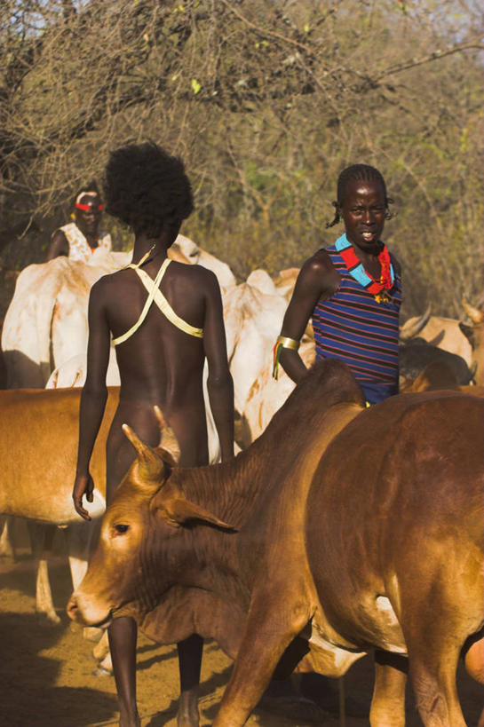 两个人,竖图,牛,非洲,埃塞俄比亚,摄影,奥莫低谷,彩图,传统文化