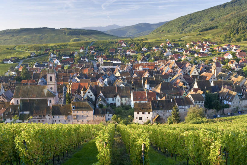 无人,横图,俯视,室外,法国,欧洲,乡村,葡萄园,摄影,阿尔萨斯,西欧,法国文化,彩图,高角度拍摄