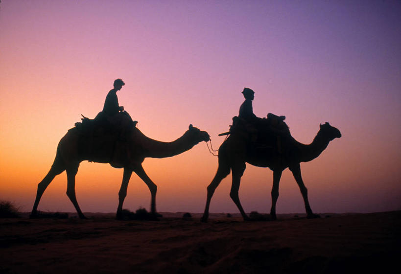 两个人,横图,印度,亚洲,骆驼,摄影,剪影,拉贾斯坦邦,彩图