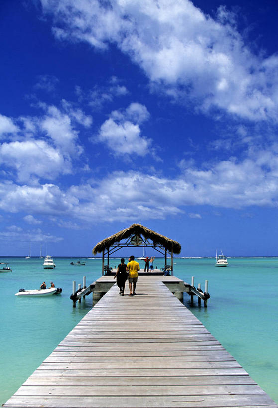码头,竖图,室外,旅游,度假,棕榈树,岛,娱乐,享受,休闲,放松,摄影,热带气候,多巴哥岛,海滩,彩图