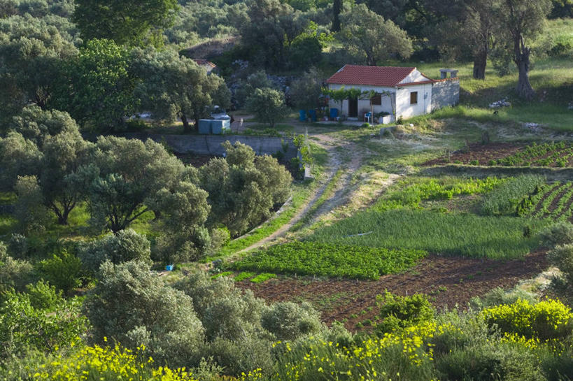 无人,横图,希腊,欧洲,房屋,摄影,西欧,地中海文化,南欧,希腊文化,爱琴海群岛,农舍,彩图
