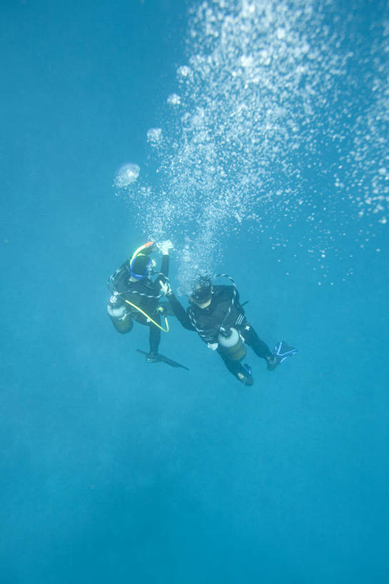 两个人,竖图,水下,马尔代夫,潜水,摄影,印度洋,彩图
