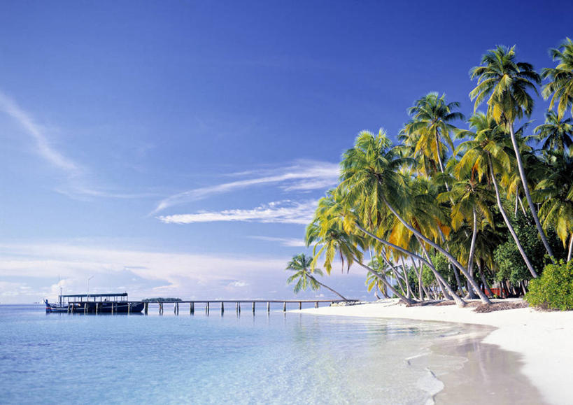 无人,横图,室外,棕榈树,马尔代夫,岛,摄影,热带气候,天堂镇,海滩,彩图,旅行