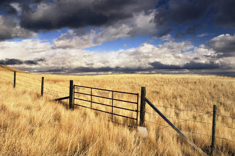 无人,横图,加拿大,大门,篱笆,田地,摄影,北美,亚伯达,彩图,旅行