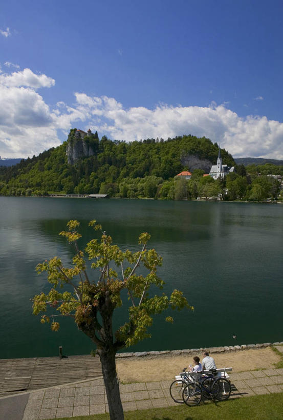 无人,竖图,室外,欧洲,斯洛文尼亚,摄影,布雷德湖,彩图,戈雷尼