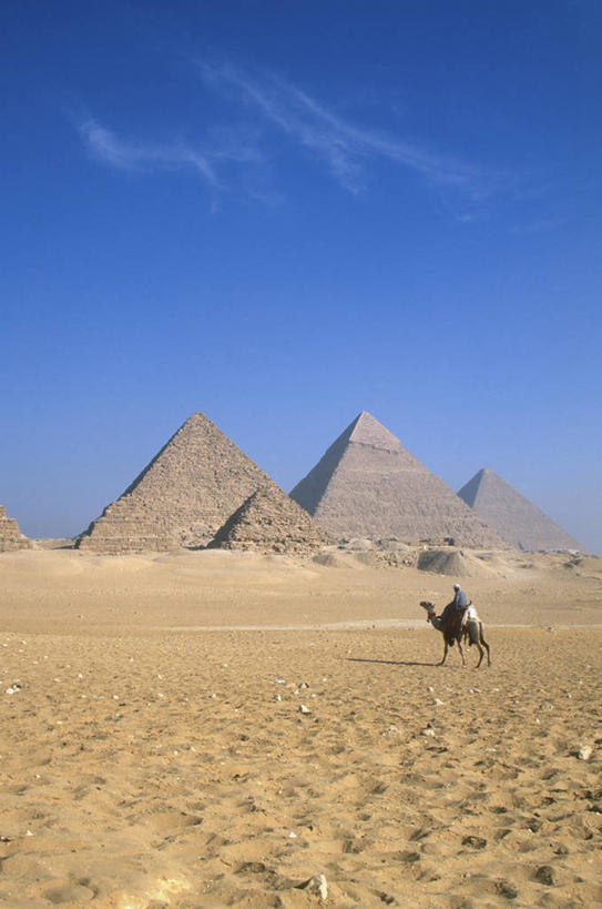 西方人,一个人,竖图,城市,欧洲,非洲,埃及,开罗,黑人,欧洲人,首都,骆驼,金字塔,摄影,中东,北非,埃及文化,吉萨,非洲人,彩图