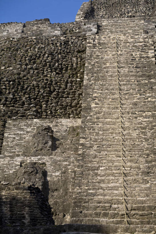 无人,竖图,伯利兹,历史,废墟,摄影,考古学,中美洲,拉丁美洲,玛雅文明,彩图