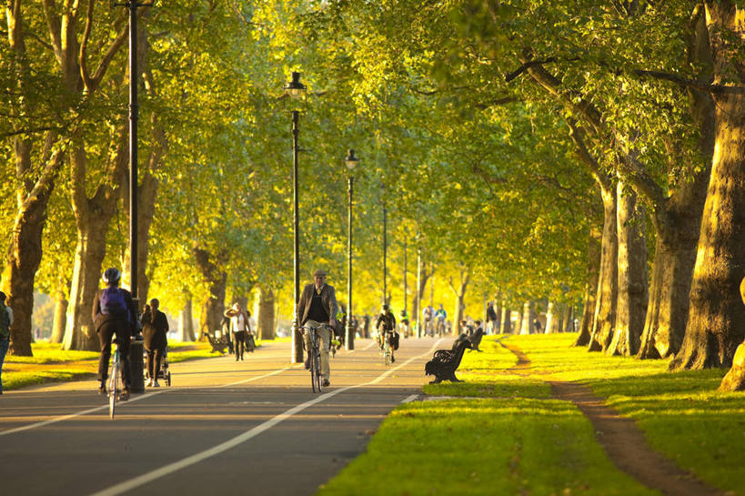 公园,横图,室外,白天,英国,首都,英格兰,树,摄影,宁静,清新,透视图,休闲活动,彩图,色度