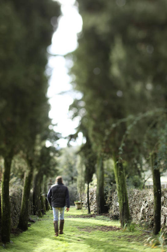 成年人,一个人,竖图,室外,白天,留白,意大利,欧洲,仅一个男性,树,背面,摄影,托斯卡纳区,圣吉米尼亚诺,男人,彩图,对焦