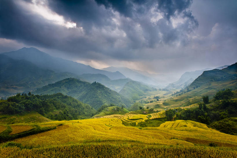 无人,横图,室外,白天,留白,农业,梯田,农作物,美景,山,山脉,雾,越南,亚洲,稻田,地形,景观,田地,乌云,风景,自然,景色,摄影,东南亚,自然风光,越南社会主义共和国,彩图,老街省,沙坝县,对焦