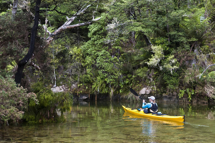 西方人,成年人,中年人,一个人,横图,室外,白天,留白,度假,运动,水,欧洲,新西兰,欧洲人,仅一个女性,仅一个人,树,仅一个中年女性,摄影,艾贝尔塔斯曼国家公园,新西兰南岛,尼尔森,冒险,女人,女性,中年女性,白种人,休闲活动,半身,彩图,旅行,对焦,皮船