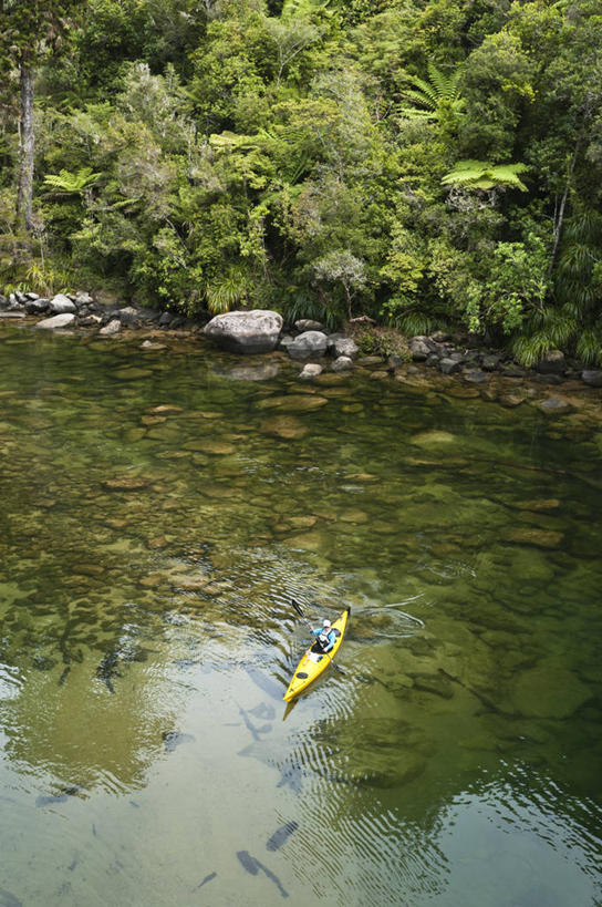 西方人,成年人,中年人,一个人,竖图,俯视,室外,白天,留白,度假,欧洲,新西兰,欧洲人,仅一个女性,仅一个人,树,仅一个中年女性,摄影,艾贝尔塔斯曼国家公园,新西兰南岛,尼尔森,女人,女性,中年女性,白种人,岩石,半身,彩图,高角度拍摄,旅行,对焦