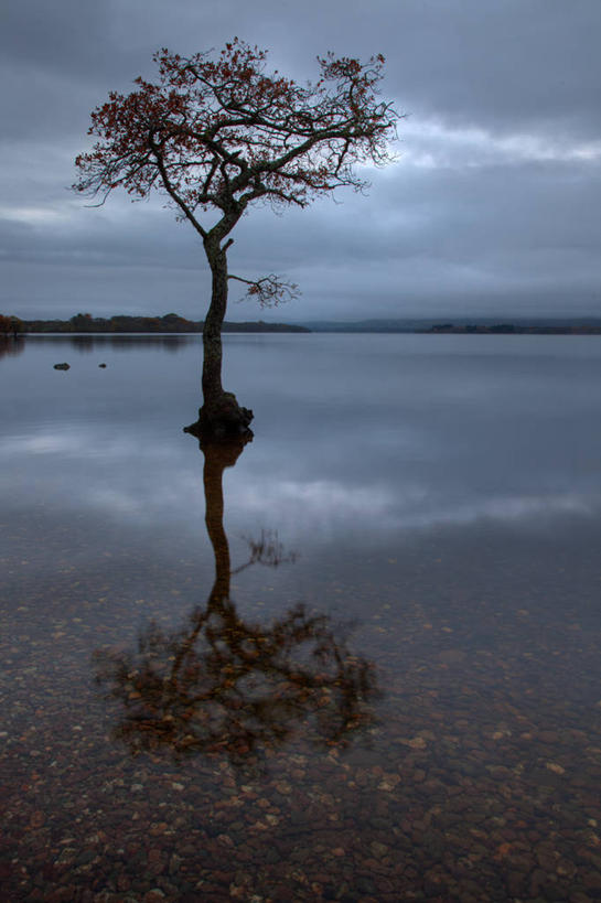 无人,竖图,室外,湖,美景,英国,反射,景观,云,苏格兰,树,风景,天空,自然,黄昏,景色,摄影,宁静,自然风光,洛蒙德湖,彩图,独处