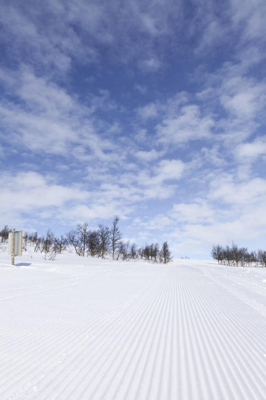 无人,竖图,室外,白天,雪,瑞典,地形,云,冬天,布告,树,风景,天空,自然,摄影,宁静,彩图