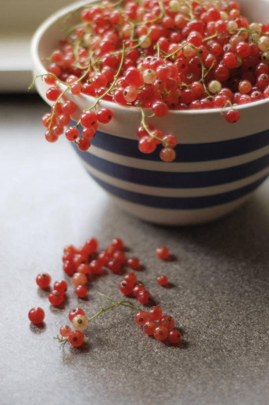 无人,竖图,室内,特写,浆果,水果,美国,许多,丰富,很多,饮食,碗,摄影,清新,红醋栗,健康食物,彩图