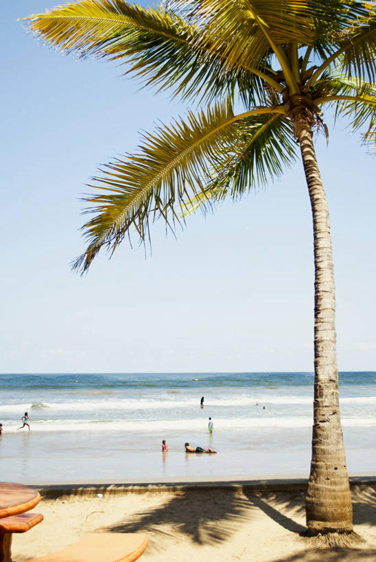 竖图,室外,白天,度假,海洋,水,棕榈树,特立尼达和多巴哥,水平线,天空,摄影,海滩,休闲活动,彩图