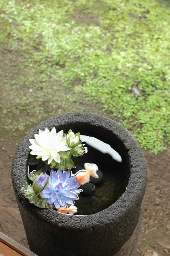 无人,竖图,俯视,室外,白天,水,日本,漂浮,反射,草,花,摄影,脆弱,清新,青森县,彩图,高角度拍摄