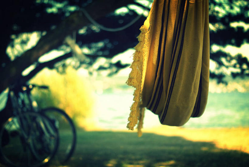 无人,公园,横图,室外,白天,吊床,自行车,纺织品,美国,树,黄色,夏天,运输,摄影,宁静,华盛顿州,西雅图,彩图