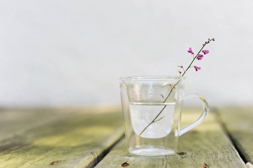 无人,横图,室外,白天,水,桌子,美国,小的,木制,杯,花,摄影,北美,北美洲,简单,清新,美洲,佛罗里达,佛罗里达州,佛州,阳光州,北亚美利加洲,亚美利加洲,彩图,美利坚合众国