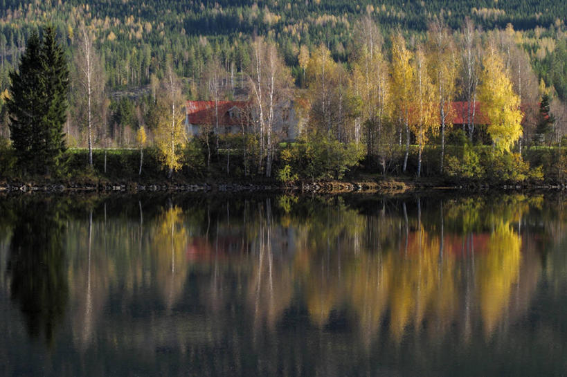 无人,横图,室外,白天,湖,挪威,反射,房屋,树,自然,摄影,宁静,改变,秋天,彩图