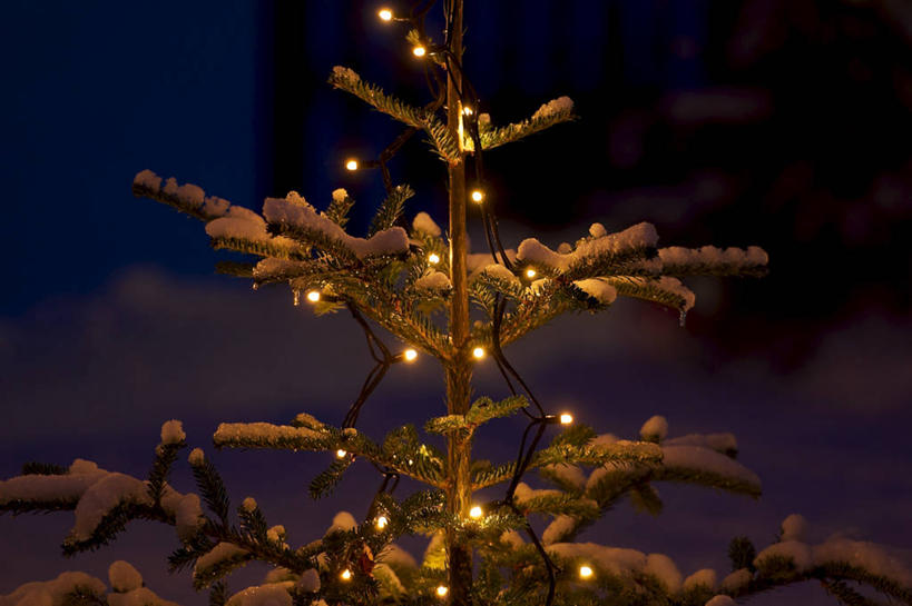 无人,横图,室外,夜晚,雪,照明,挪威,圣诞节,庆祝,彩灯,云,冬天,灯光,圣诞树,顶部,灯,树,灯具,寒冷,摄影,花灯,部分,照亮,照明设备,圣诞灯,彩图,传统文化