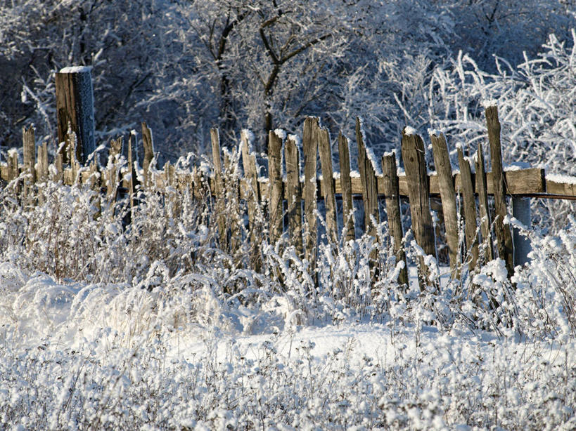 无人,横图,室外,白天,雪,俄罗斯,木制,篱笆,冬天,树,寒冷,摄影,保护,宁静,腐烂,彩图