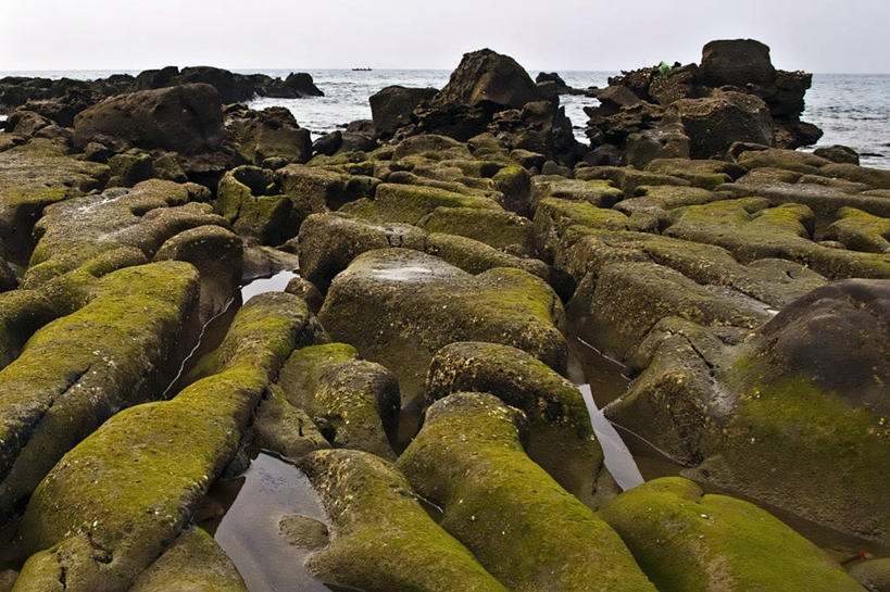 无人,横图,室外,白天,海洋,巴基斯坦,苔藓,天空,自然,摄影,宁静,卡拉奇,自然地理,海滩,岩石,彩图