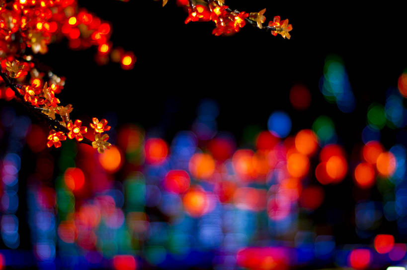 无人,横图,室外,特写,夜晚,照明,新加坡,庆祝,装饰,彩灯,灯光,灯,树,红色,灯具,摄影,花灯,照亮,照明设备,圣诞灯,彩图,传统文化