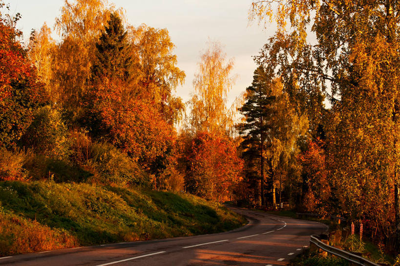 无人,横图,室外,日出,美景,路,瑞典,弯曲,景观,分界线,树,自然,景色,运输,摄影,自然风光,改变,秋天,彩图
