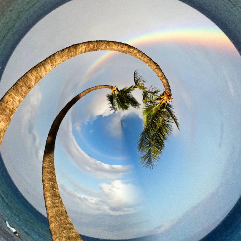 无人,方图,室外,白天,鱼眼镜头,仰视,彩虹,海洋,棕榈树,美国,云,风景,天空,自然,摄影,宁静,漩涡形,夏威夷群岛,太平洋岛屿,海滩,彩图,低角度拍摄,毛伊岛