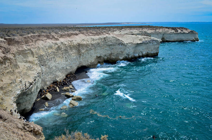 无人,横图,室外,白天,长时间曝光,海浪,海洋,美景,海狮,阿根廷,一群