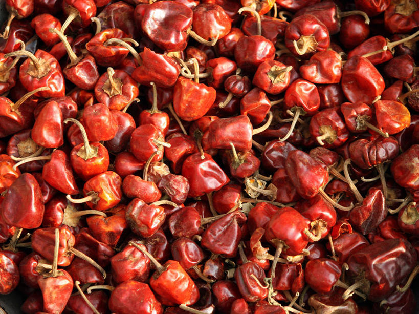 无人,横图,室外,特写,白天,背景,印度,许多,丰富,很多,热,饮食,红色,摄影,堆,清新,干的,健康食物,泰米尔纳德邦,金奈,红辣椒,彩图,全画面,全框架,全帧,全画幅