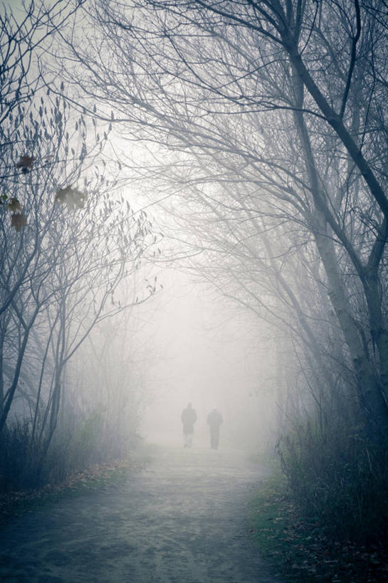 两个人,竖图,室外,雾,加拿大,小路,黎明,天气,树,健康,摄影,早晨,步行,彩图