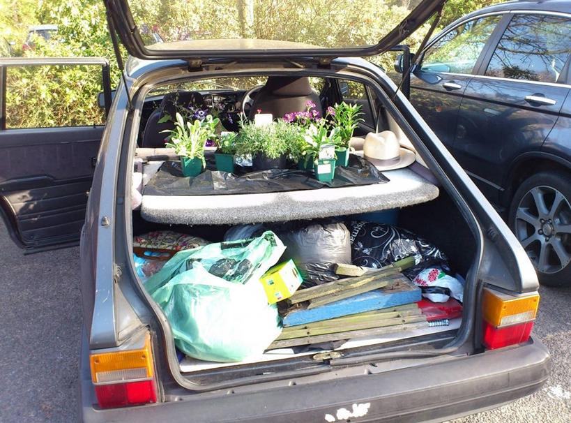 无人,横图,室外,白天,购物,汽车,英国,首都,花,打开,零售,运输,摄影,多样,园林,开启,彩图,风帽