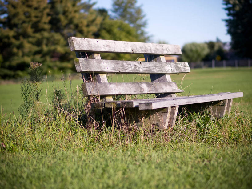 无人,横图,室外,白天,美国,木制,长椅,草,树,天空,自然,摄影,宁静,北美,北美洲,美洲,北亚美利加洲,亚美利加洲,密歇根,密歇根州,貂熊州,狼獾之州,狼獾州,彩图,美利坚合众国