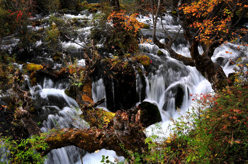 无人,横图,室外,白天,美景,瀑布,水,九寨沟,景观,树,风景,自然,地标建筑,景色,摄影,四川省,岩层,中国文化,自然风光,岩石,秋天,彩图