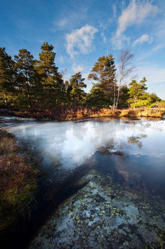 无人,竖图,室外,白天,森林,瑞典,反射,冰,云,树,风景,天空,自然,摄影,宁静,水坑,岩石,彩图