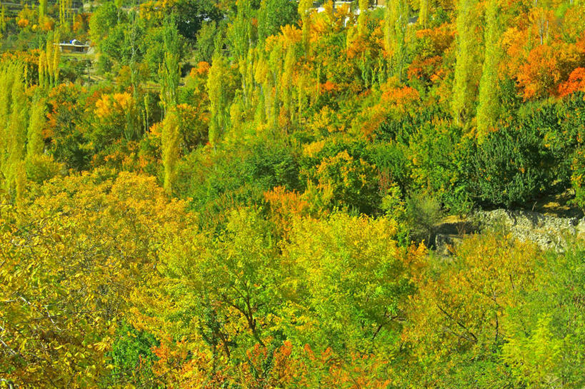 无人,横图,室外,白天,美景,巴基斯坦,亚洲,景观,山谷,草,树,自然,景色,摄影,生长,自然风光,南亚,改变,巴基斯坦伊斯兰共和国,克什米尔,伯尔蒂斯坦,秋天,彩图,喀什米尔,北部地区,吉尔吉特.巴尔蒂斯坦,罕萨,克什米尔北部地区,克什米尔地区,自由查谟和克什米尔,自由克什米尔