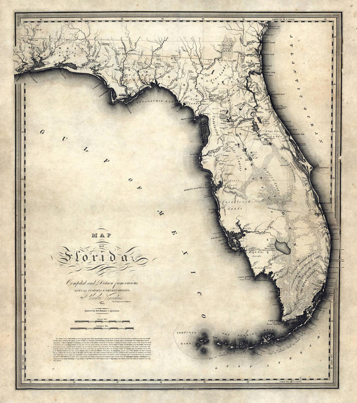 无人,竖图,地图,历史,古董,佛罗里达,彩图
