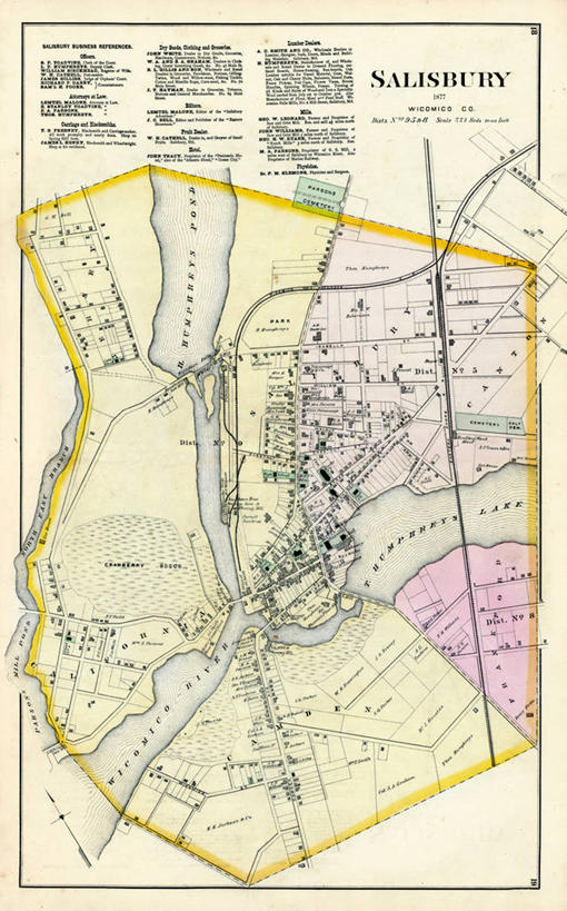 无人,竖图,地图,城镇,历史,古董,索尔兹伯里,马里兰,彩图,地图学