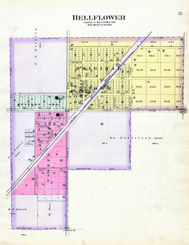 无人,竖图,地图,城镇,风铃草,历史,古董,伊利诺斯州,彩图,地图学